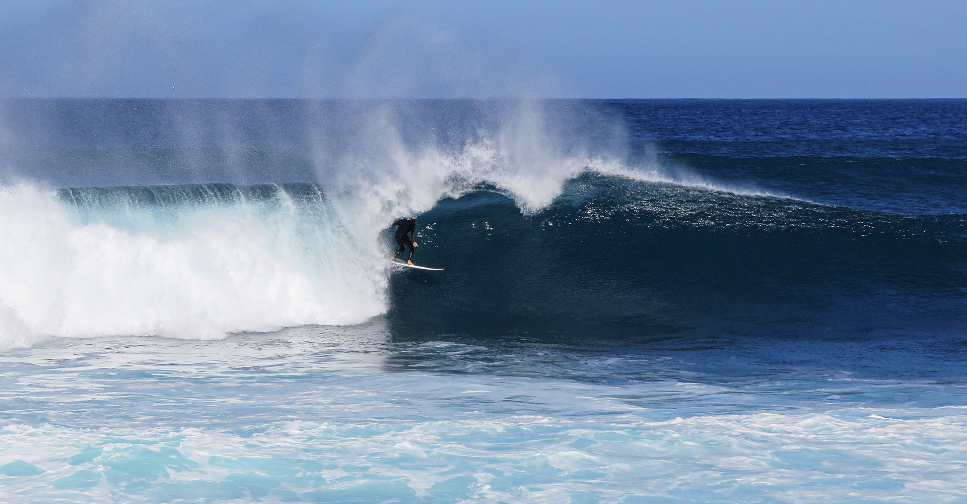 Mica is chasing tubes